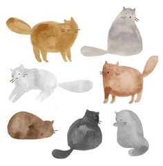 an image of cats that are in the same color and size as each other on a white background