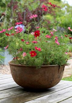 a potted plant with pink and red flowers sitting on a wooden table in a garden