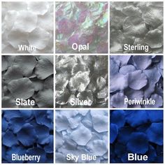 different shades of blue and white flowers with names in the bottom right hand corner are shown