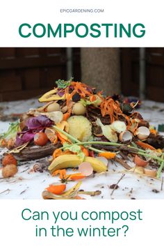 a pile of composting food sitting on top of a table next to a tree