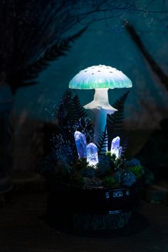 an illuminated mushroom is sitting in the dark