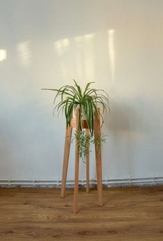 two wooden planters with plants in them on top of a hard wood floor next to a white wall