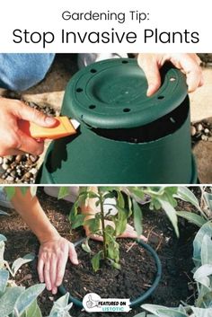 two pictures with hands holding an object in the ground and plants growing out of it