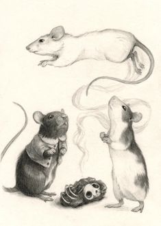 two mice and a rat are depicted in this drawing