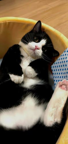 a black and white cat laying in a yellow bed with its paws on the pillow