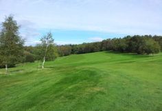 a green golf course with trees in the background