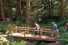 three people walking across a wooden bridge in the woods