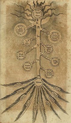 the tree of life is shown in an old book, with many words on it