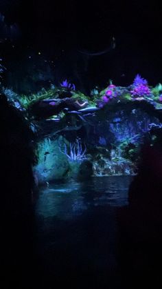 a person standing in front of an aquarium with purple and green plants on the water