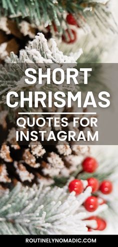 Frosty tree with words Short Christmas Quotes for Instagram Smells Like Christmas Quotes, Christmas Coming Soon Quotes, Cute Christmas Ig Captions, Christmas Pictures Quotes, Nice Christmas Quotes, Happy Holidays Quotes Funny, Elf Christmas Quotes