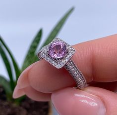 Pink Sapphire Silver Ring, Silver Pink Sapphire Ring As Gift, Luxury Pink Sapphire Silver Ring, Silver Amethyst Ring With Heart-cut Center Stone, Pink Heart-shaped Crystal Ring For Anniversary, White Gold Ring, Multi Stone, Multi Stone Ring, Diamond Gemstone