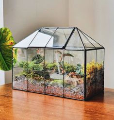 a glass house with plants inside on a table