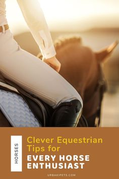 a woman riding on the back of a horse with text overlay reading clever equestrian tips for every horse enthusiast