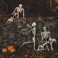 three skeletons sitting on the ground in front of a stone wall with pumpkins around them