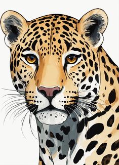 a close up of a leopard's face on a white background