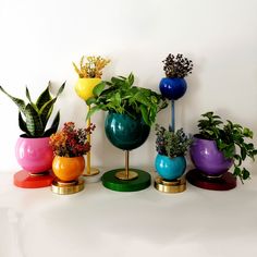 Rainbow collection of planters and vases for weddings, pride parties, rainbow tablescape decor, etc Birthday Party Props, Sazerac, Salon Suites, Tall Planters, Modern Planters, Plant Markers, Small Planter, Large Planters, Plant Collection