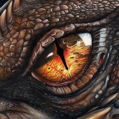 a close up of a dragon's eye surrounded by pencils