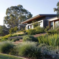 the house is surrounded by lush green plants and trees, with stairs leading up to it