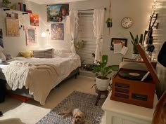 a dog laying on the floor in a bedroom with pictures and plants hanging above it