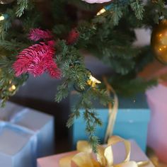 presents under the christmas tree are wrapped in blue and pink paper with gold ribbon,