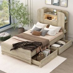 a bed with two drawers underneath it in a room next to a window and potted plant