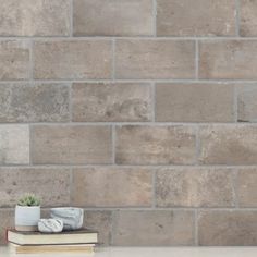 a white table topped with books next to a wall covered in grey bricks and plants