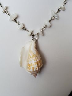 Shell-shaped Pearl Pendant Jewelry For Beach, Beach Jewelry With Pearl Pendant In Shell Shape, Mother Of Pearl Shell Necklace With Pearl Charm, Ocean-inspired Shell Pendant Necklace, White Shell With Pearl Pendant, Shell Shaped Pearl Chain Necklace, Shell Necklace With Pearl Pendant, Shell Necklace With Pearl Chain, Shell Necklace With Pearl Pendant In Mother Of Pearl