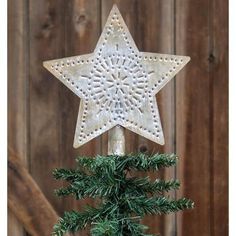 a white star on top of a potted plant