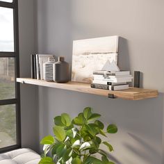 a shelf with books and other items on it next to a potted plant in front of a window