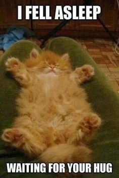 an orange cat laying on its back in a green chair