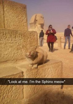 a cat sitting on top of a stone wall next to some people and an egyptian statue