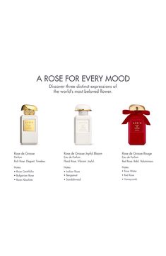 What it is: A Nordstrom-exclusive scent story that captures the voluminous warmth and vitality of a freshly cut rose in full bloom.Fragrance story: The depth and allure of red rose blends with dewy rose water and warm honeycomb for a sensual and bold fragrance. Rouge was inspired by an enduring icon, the perfect red rose, which symbolizes love, friendship and generosity. It is a floral rose fragrance that evokes the singular beauty of a freshly cut red rose in full bloom. Style: Floral.Notes:- T Water Violet, Grasse France, Indian Rose, Rose Absolute, Bulgarian Rose, Rose Fragrance, Favorite Flower, In Full Bloom, Floral Notes