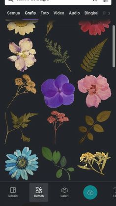 an iphone screen with flowers and leaves on the bottom right corner, which is also in color