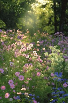 the sun shines through the trees and flowers in this field full of wildflowers