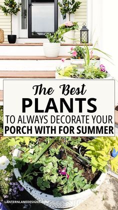 the best plants to always decorate your porch with for summer