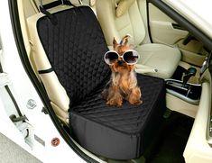 a small dog wearing sunglasses sitting in the back seat of a car