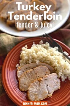 turkey tender and juicy served on an orange plate with white rice next to it is the title text overlay