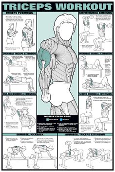 a poster with instructions on how to do the triceps workout