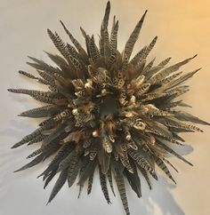 a clock made out of feathers on a wall