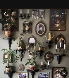 there are many pictures on the wall with candles and plants in vases next to them