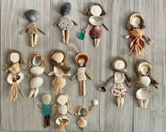 various sea shells are arranged on a wooden surface