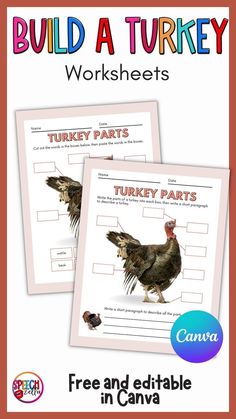 two turkey parts worksheets with the words, build a turkey worksheet