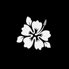 a white flower on a black background