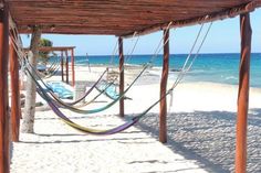 a hammock on the beach with blue water in the background