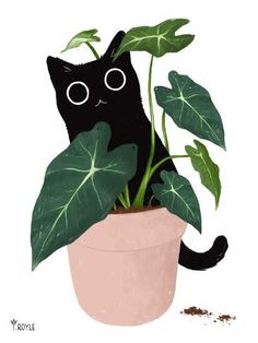 a black cat sitting in a potted plant with eyes on it's face