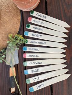 six knives with names on them sitting next to a flower and a knife blade that says cities