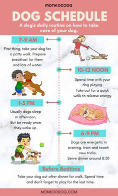 the dog schedule is shown with instructions for how to use it and what to do