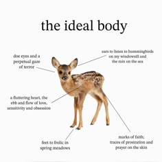 an animal labeled with the names of its body and features in it's description