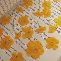 some yellow flowers laying on top of an open book