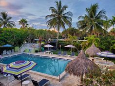 an outdoor swimming pool surrounded by palm trees and lawn chairs with umbrellas on it